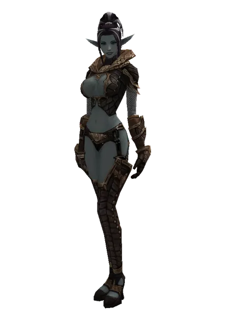 Chain Mail Set on a female Dark Elf, front view