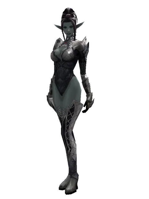 Avadon Leather Set on a female Dark Elf, front view
