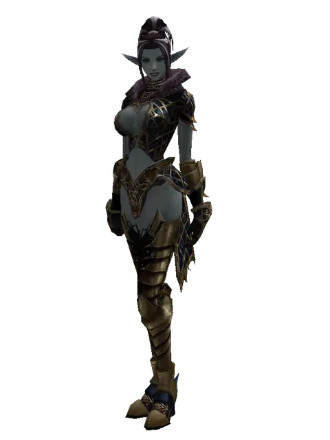 Drake Leather Set on a female Dark Elf, front view