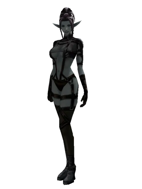 Squire's (light armor) on a female Dark Elf, front view