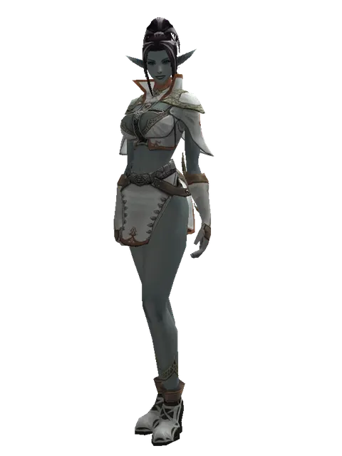 Theca Leather Set on a female Dark Elf, front view