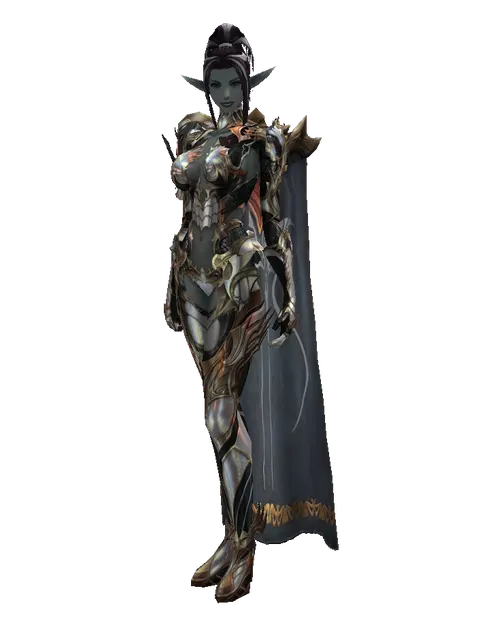 Noble Vesper + Fighter Cloak (light armor) on a female Dark Elf, front view