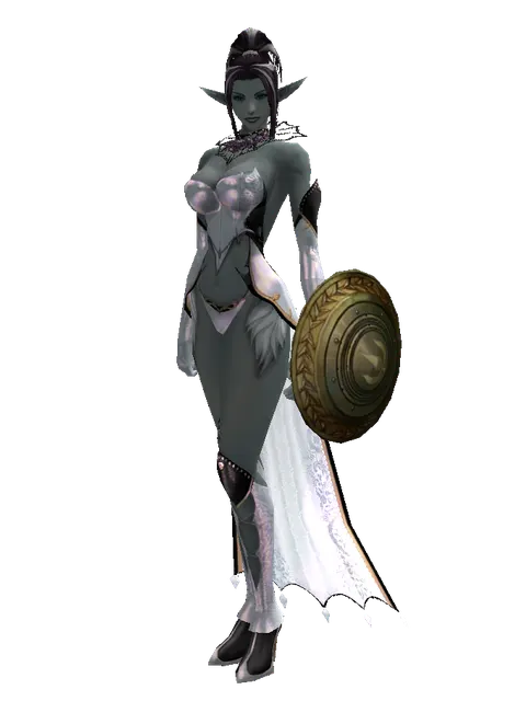 Bronze Shield on a female Dark Elf, front view