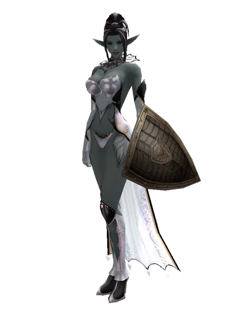 Chain Shield on a female Dark Elf, front view