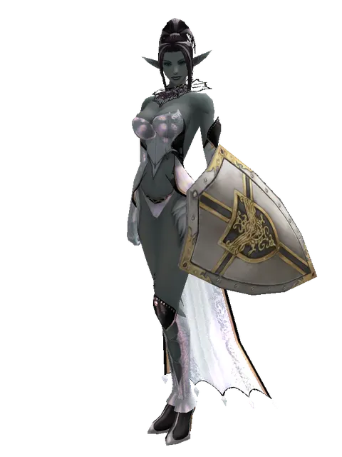 Knight's Shield on a female Dark Elf, front view