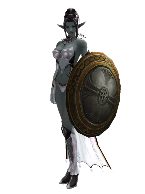 Mia Shield on a female Dark Elf, front view