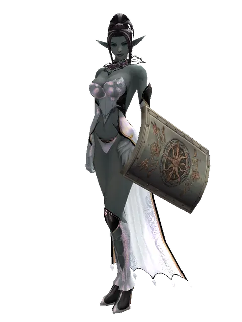 Tower Shield on a female Dark Elf, front view