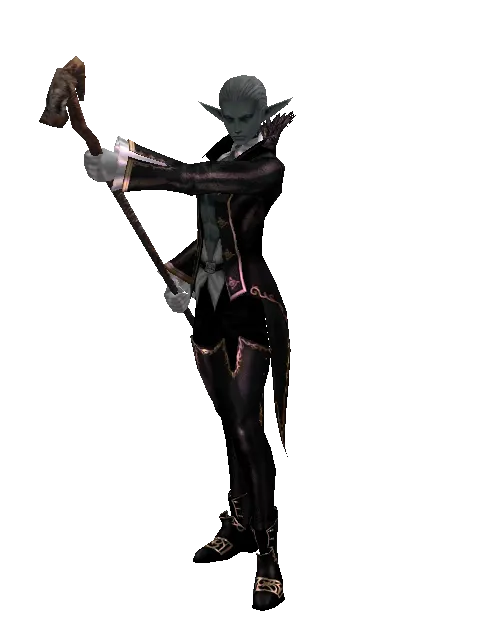 Cedar Staff on a male Dark Elf, front view