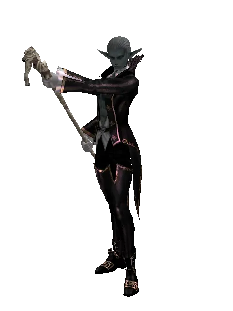 Sage's Staff on a male Dark Elf, front view