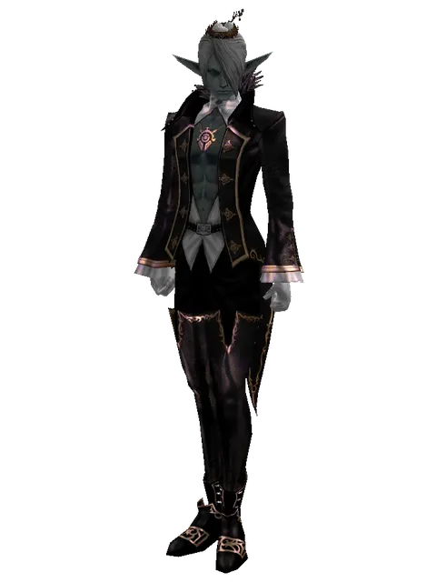 Bird Nest on a male Dark Elf, front view