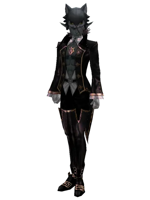 Kai the Cat Hat on a male Dark Elf, front view