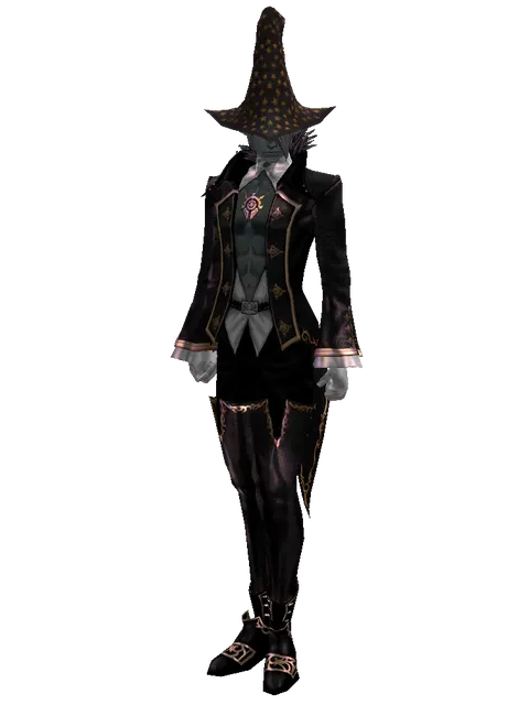 Magic Hat (?) on a male Dark Elf, front view
