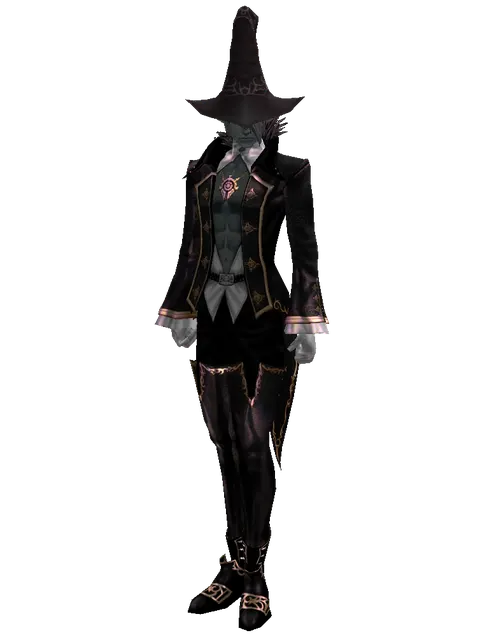 Wizard Hat on a male Dark Elf, front view