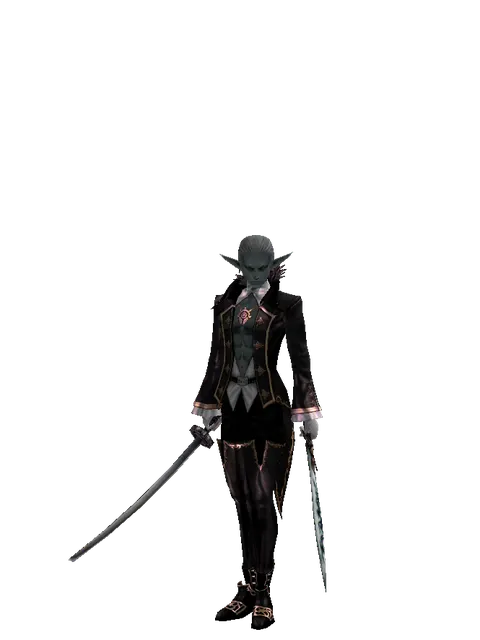 Katana*Tsurugi on a male Dark Elf, front view