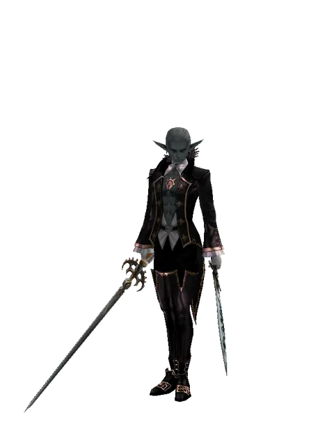 Raid Sword*Tsurugi on a male Dark Elf, front view