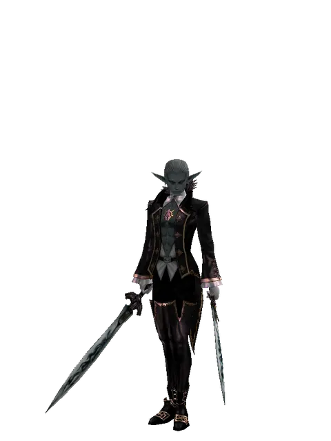 Tsurugi*Tsurugi on a male Dark Elf, front view
