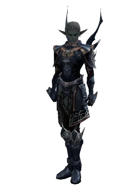Blue Wolf Set - Heavy on a male Dark Elf, front view