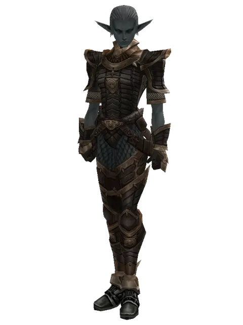 Chain Mail Set on a male Dark Elf, front view