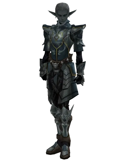 Clan Oath Set - Heavy on a male Dark Elf, front view