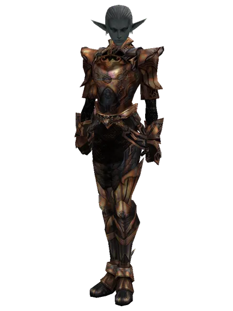 Imperial Crusader Set on a male Dark Elf, front view