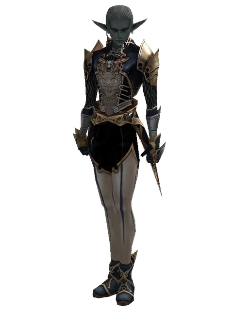 Blue Wolf Leather Set on a male Dark Elf, front view