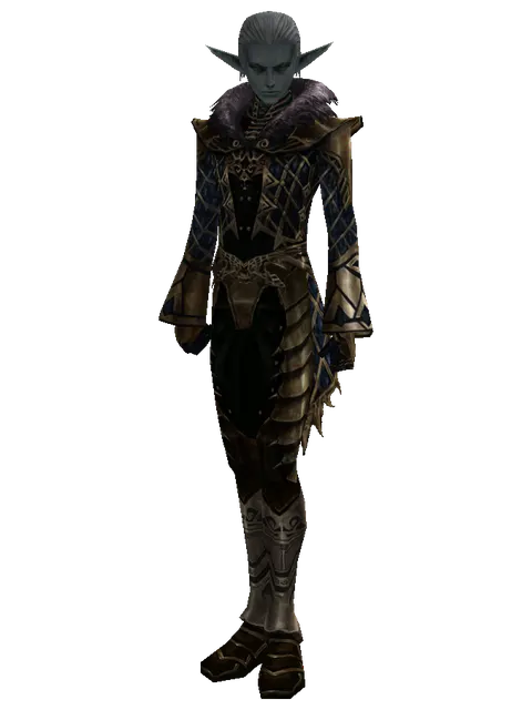 Drake Leather Set on a male Dark Elf, front view