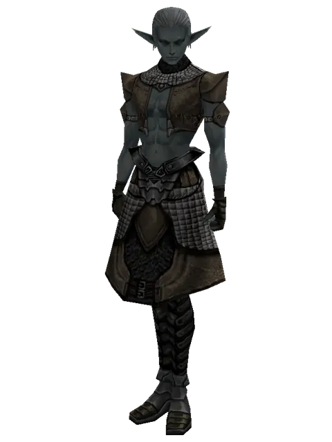 Lion Skin (light armor) on a male Dark Elf, front view