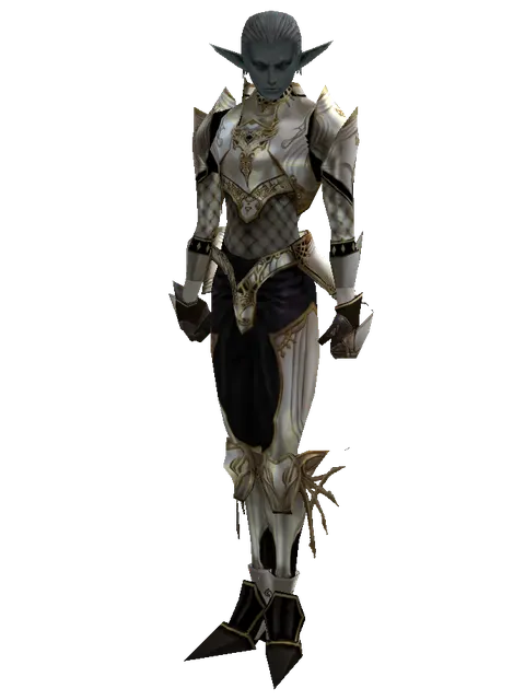 Majestic Leather Set on a male Dark Elf, front view