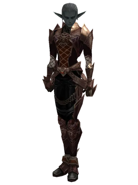 Leather Set of Nightmare on a male Dark Elf, front view