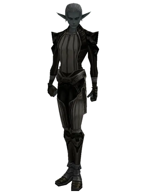 Puma Skin (light armor) on a male Dark Elf, front view