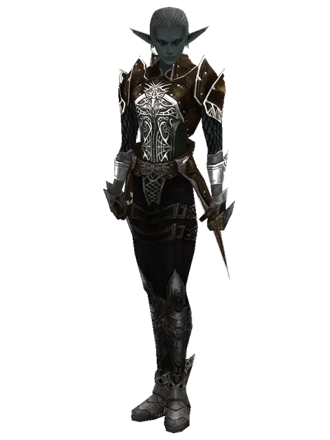 Rind Leather (light armor) on a male Dark Elf, front view