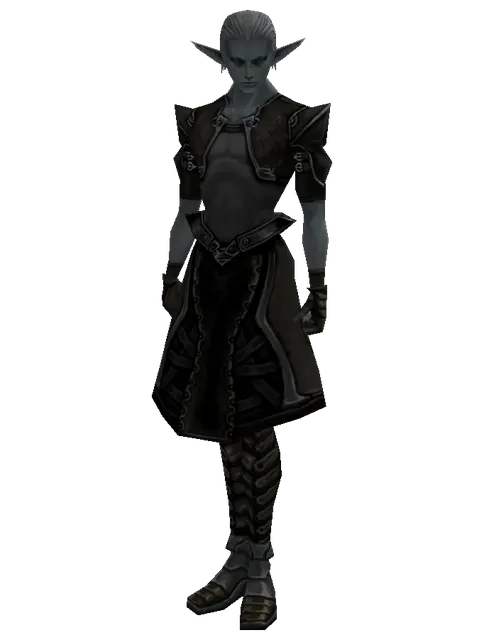 Squire's (light armor) on a male Dark Elf, front view
