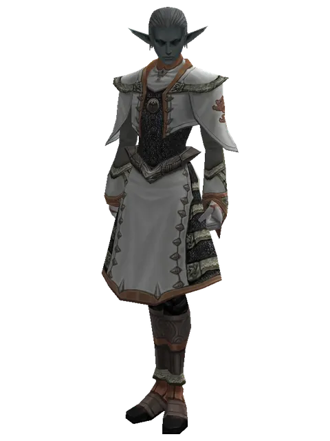 Theca Leather Set on a male Dark Elf, front view