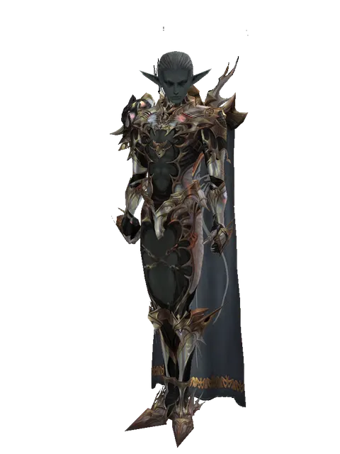Noble Vesper + Fighter Cloak (light armor) on a male Dark Elf, front view