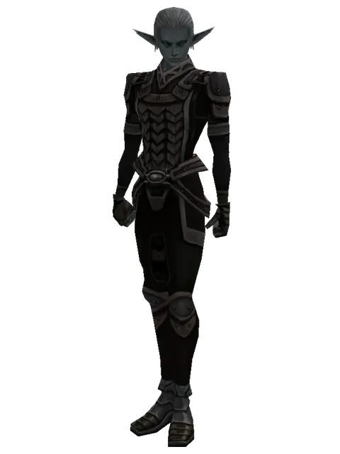 Wooden Set on a male Dark Elf, front view