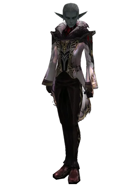 Apella Set - Robe on a male Dark Elf, front view