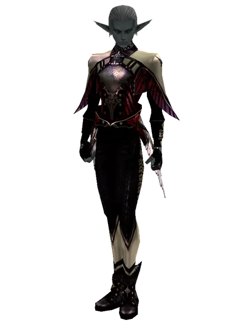 Major Arcana Robe Set on a male Dark Elf, front view