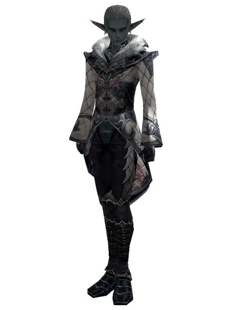 Avadon Robe Set on a male Dark Elf, front view