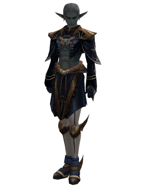Blue Wolf Set - Robe on a male Dark Elf, front view