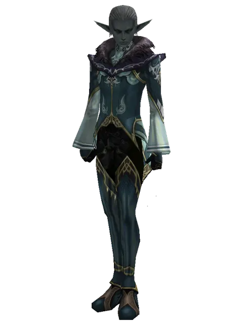 Clan Oath Set - Robe on a male Dark Elf, front view