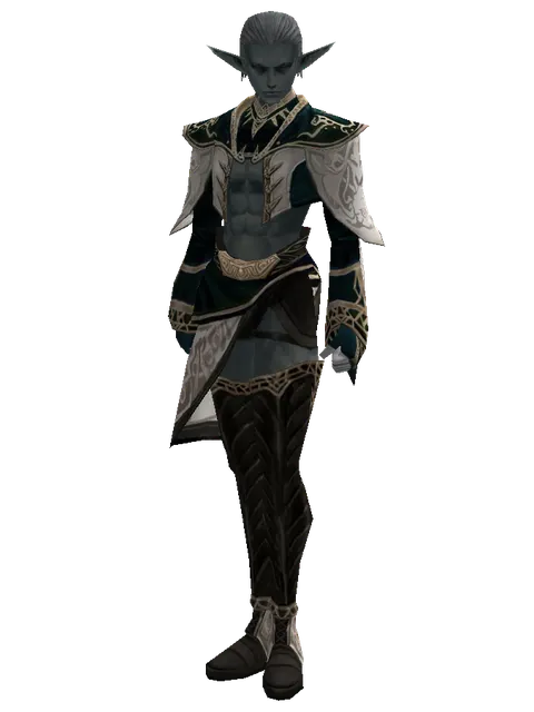 Divine Set on a male Dark Elf, front view