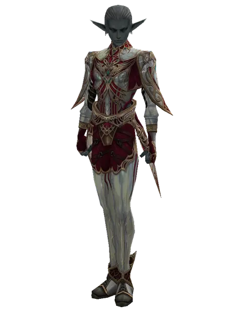 Dynasty Set - Robe on a male Dark Elf, front view