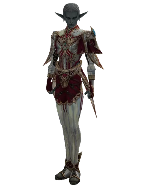 Dynasty Set - Robe on a male Dark Elf, front view