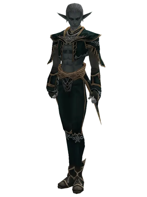 Karmian Set on a male Dark Elf, front view
