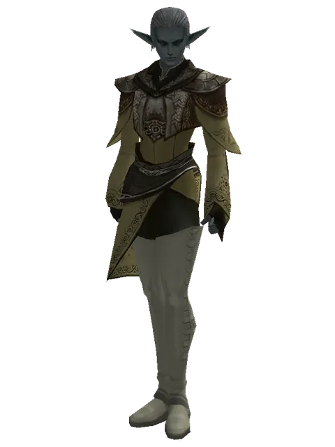 Mithril Set - Robe on a male Dark Elf, front view