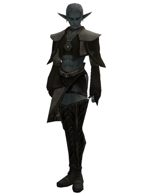 Seal (robe) on a male Dark Elf, front view