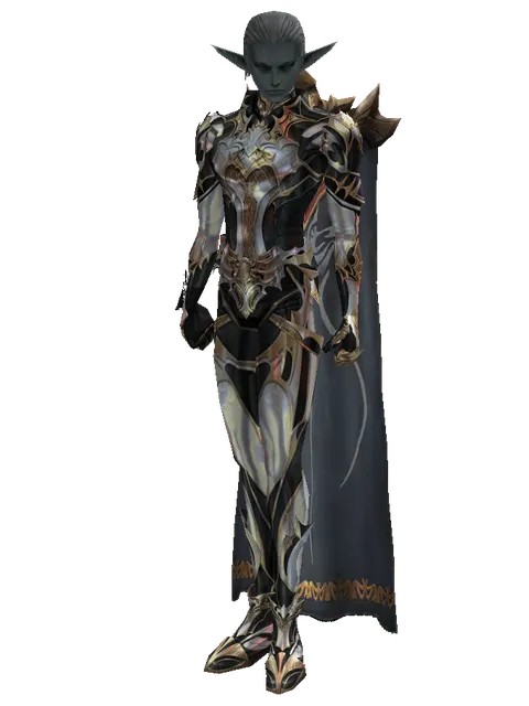 Vesper Set - Robe on a male Dark Elf, front view