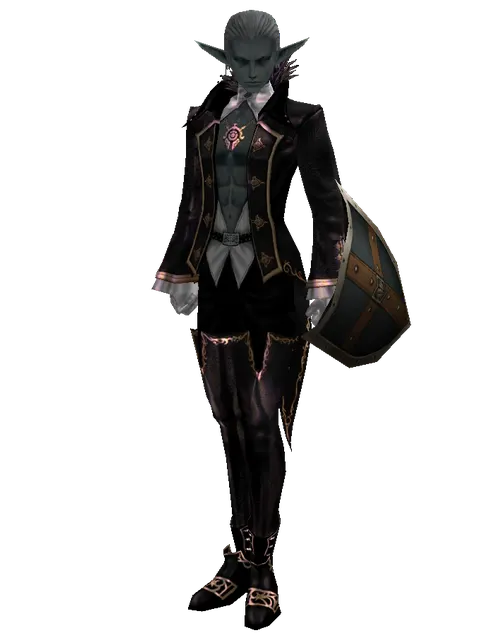 Aspis on a male Dark Elf, front view