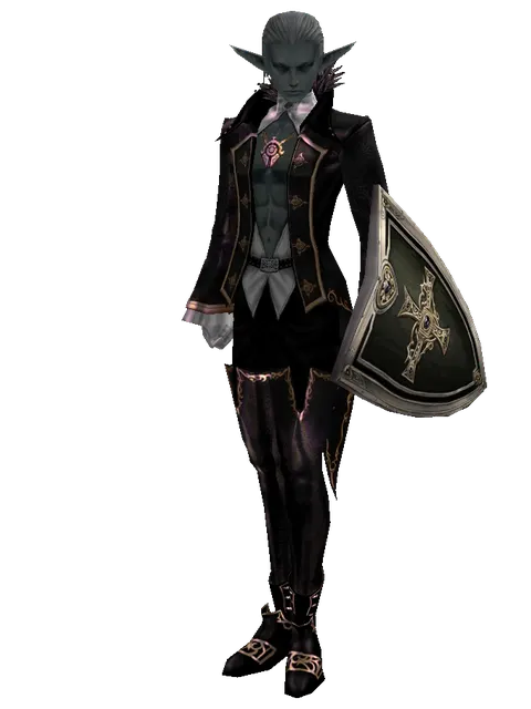 Dark Crystal Shield on a male Dark Elf, front view
