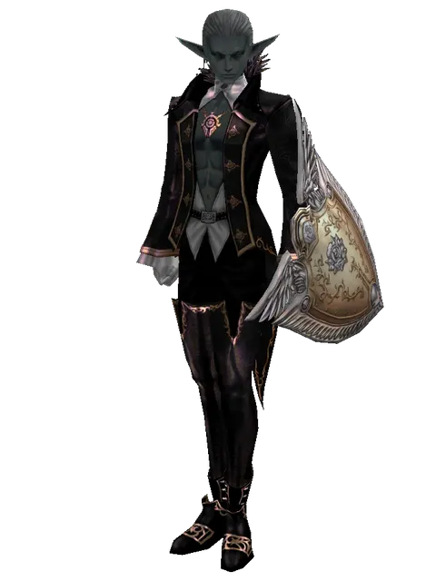 Imperial Crusader Shield on a male Dark Elf, front view